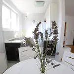 Lila Apartmán Zadar
