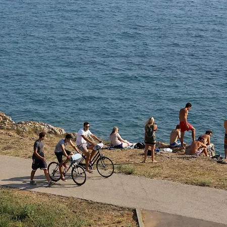 Lila Zadar