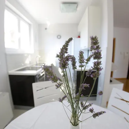 Lila Apartman Zadar